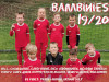 Saison 1997-98: Bambinies_2019-20.jpg